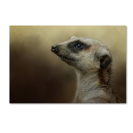 Trademark Fine Art Jai Johnson 'The Meerkat' Canvas Art, 30x47 ALI14529-C3047GG